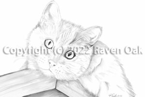 A portrait of Raven's cat named Malley