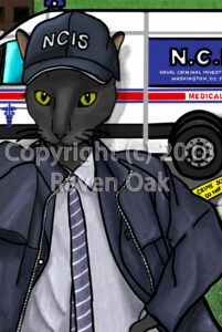 A black cat dressed up as an NCIS agent