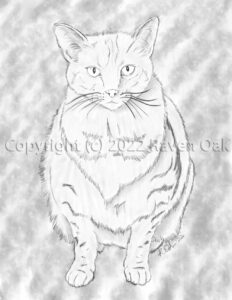 Portrait of a cat named Pharaoh