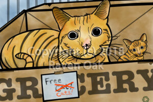 A cat and a kitten are in a grocery box with a sign saying free cats
