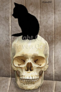 A black kitten sits upon a skull throne