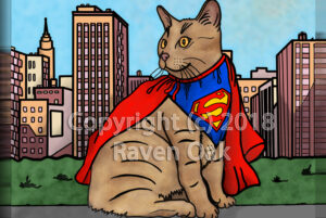 A tan kitty dressed up as Superman