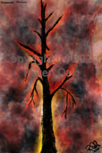 A tree burns